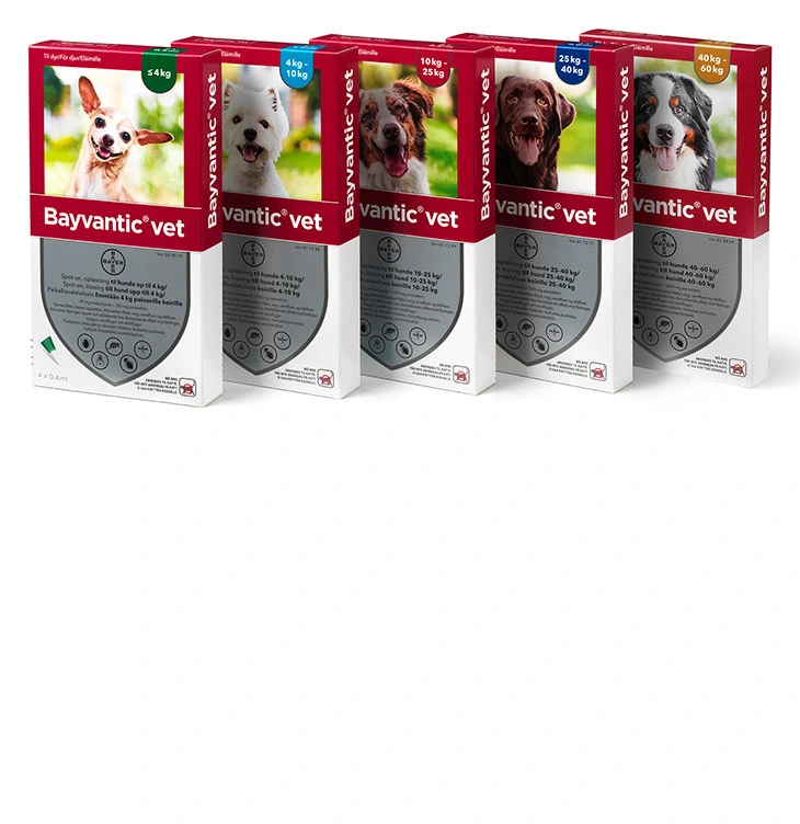 Bayvantic Vet hund 10-25 kg 4 x 2,5 ml